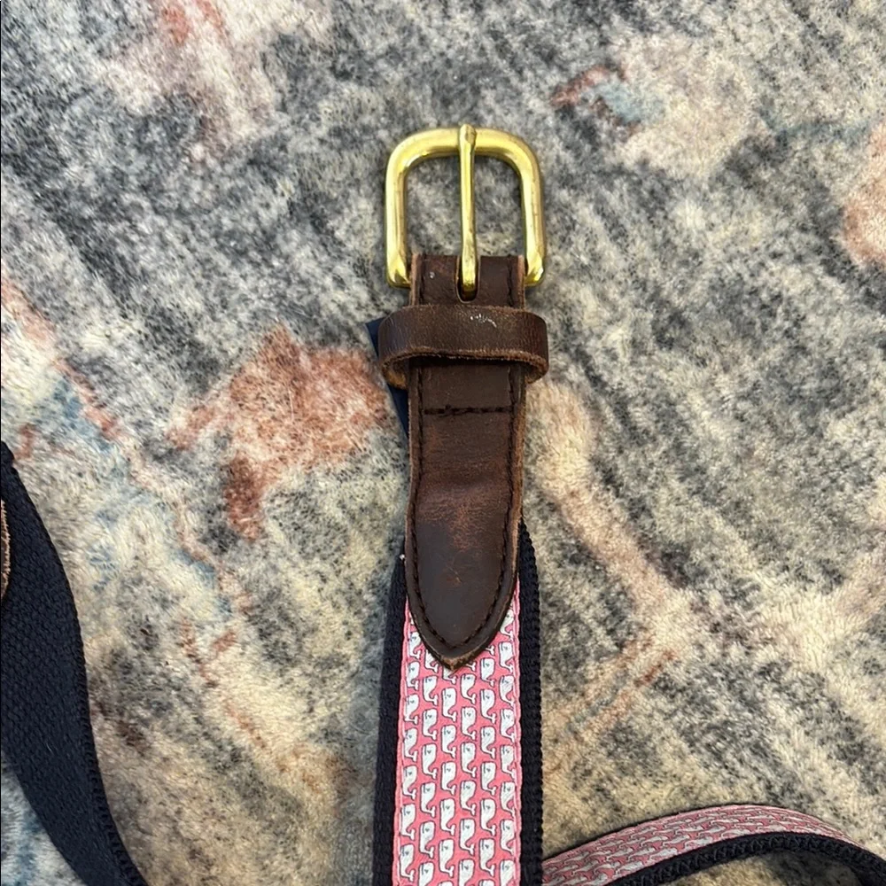 Vineyard Vines Pink and Brown Belt